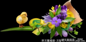 若今夜有梦，请带我走向烟花盛世