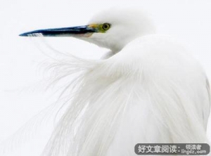 觉得别人晒，可能是你缺