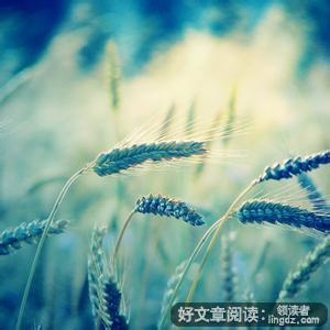 分手见人品