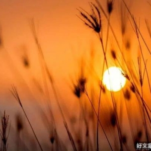 人生懂得放下，岁月自会静好