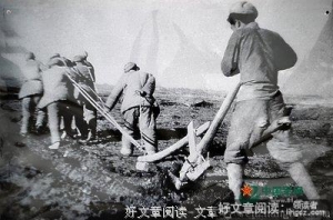 一生的忠诚