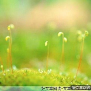 找准自己的感觉