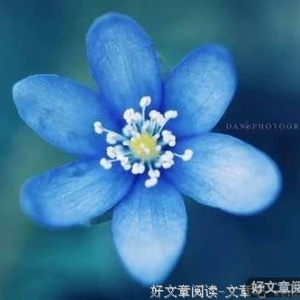 人品，是一个人最好的底牌