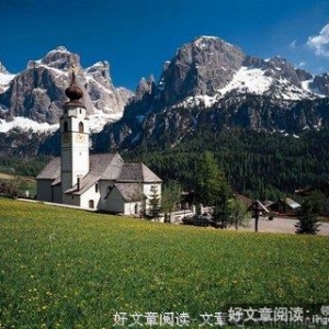 绊倒千里马的青草