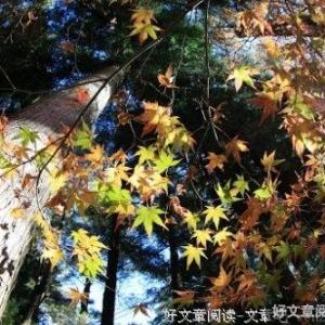 蹉跎岁月