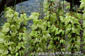 回头一望心平气和待以后