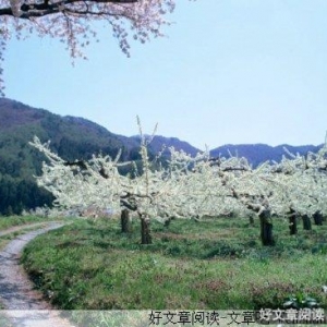 六月，沉淀美好的季节