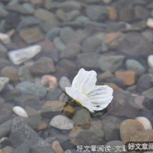 我很忙，但对你一直有空