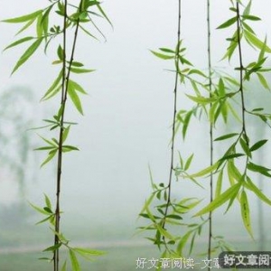 容人所不能容，忍人所不能忍