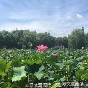 旅途收获