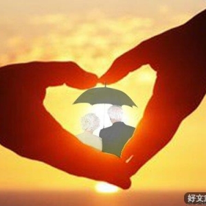 老有所依，老有所养