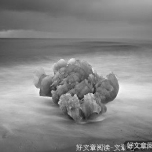 我和我的小伴儿