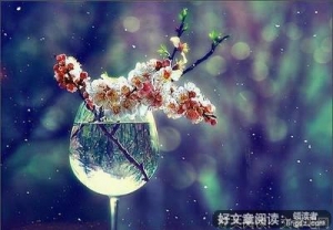 愿你有烟火气，也有诗意