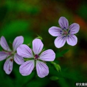 过去的我们要懂得放下