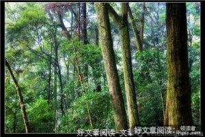 挚友如斯