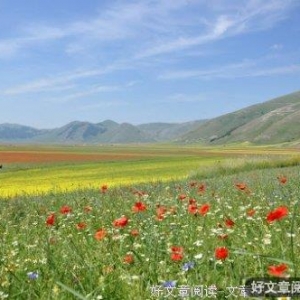 传承