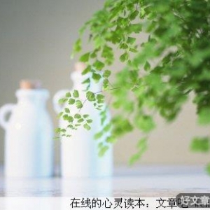 生活，总是在取舍中选择