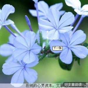 一个女人的爱情观