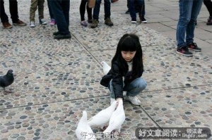 时间追不上白马
