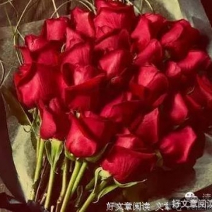 《爱情求证》