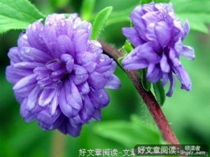 微笑生活 拥有快乐