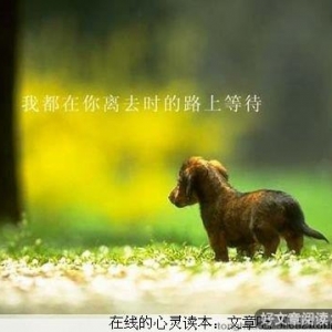 爱过，思念无处不在