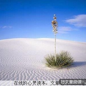 用心去吟唱生命的歌谣