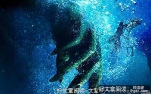 观后感