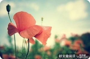 心要简单，人要糊涂
