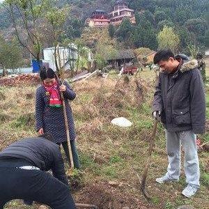 经历磨难，方得经书