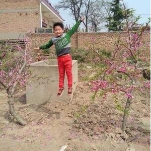因为我是你妈