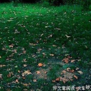 坏心情