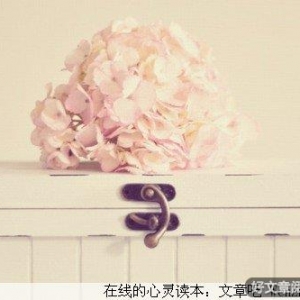 两只调味盒