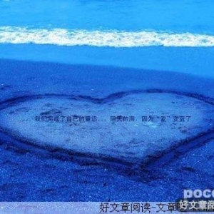 平淡中的爱