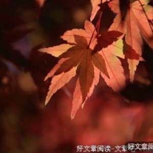 男女交往 只有这样才会长久