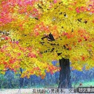 坦然面对得失