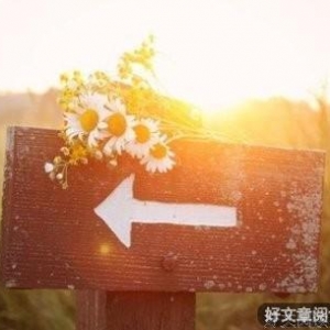 生活，一点糖就够了