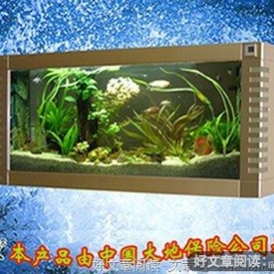 我很爱你，我不愿放弃