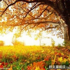 暖秋
