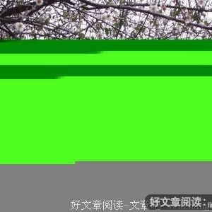 有些人一转身就是一辈子