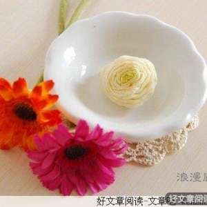 左手白菜，右手玫瑰