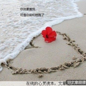 爱我你就忘了我