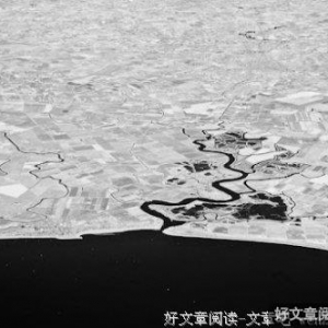 只记花开不记年
