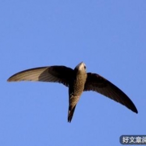 是时候迎接新生活了