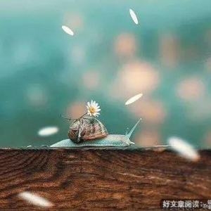 放弃，不将就