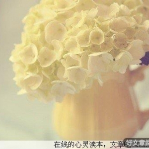 怎样面对爱情中的物质基础？