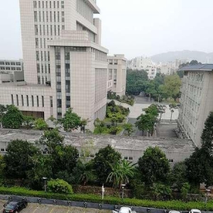 我不是骑士