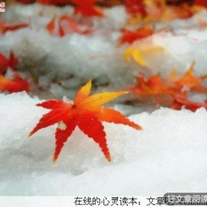 幸福不是拥有的多，而是计较的少