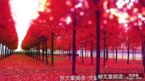 回想过去