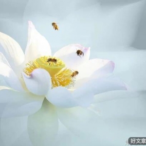 遇见，就是最美的缘